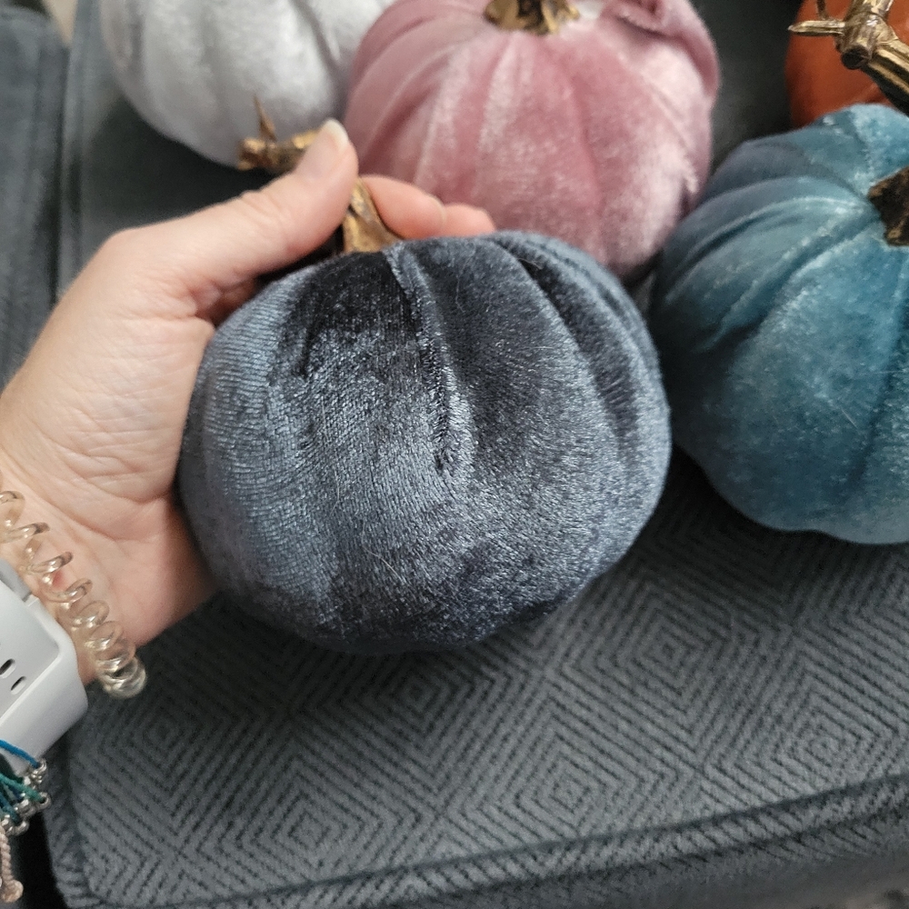 Set of 6 Dollar Tree Velvet Pumpkins - Picture 6 of 9